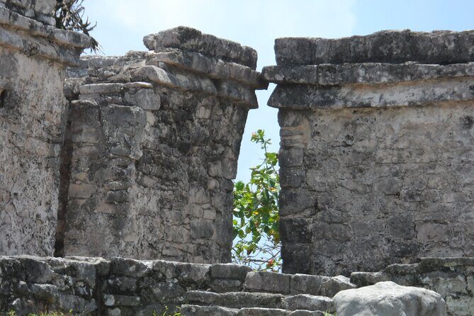 LDS Tour to Tulum Ruins + Cenote - Who Will Love This Tour?