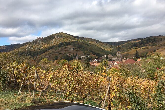 "Le petit Alsacien" Luxury Tour Local private friendly driver - Authenticity and Personal Touches