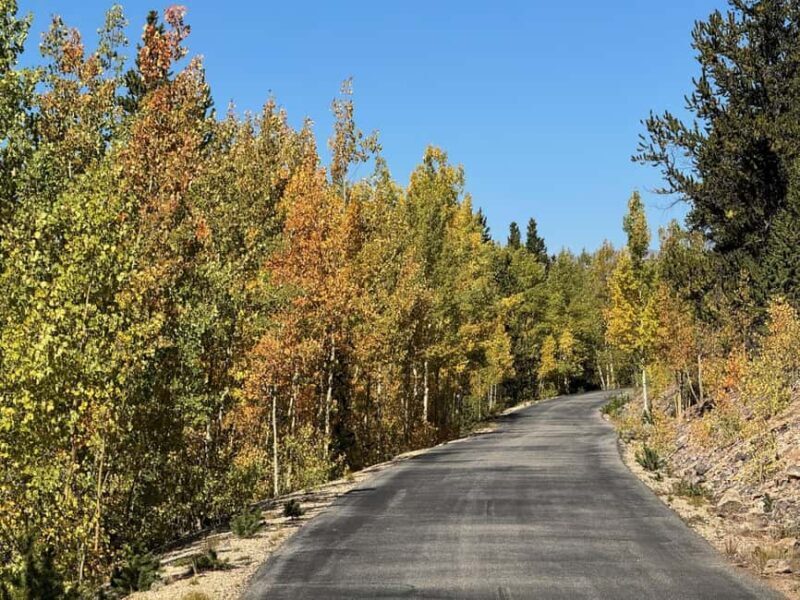 Leadville: 2-Hour Guided E-Bike Tour - Exploring Leadville on Two Wheels: A Detailed Review