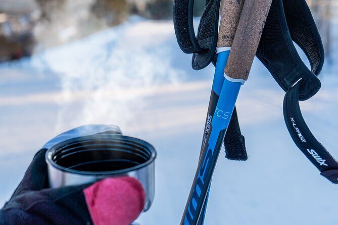 Learn Nordic Skiing - Private Class with Professional Instructor - A detailed breakdown of the itinerary