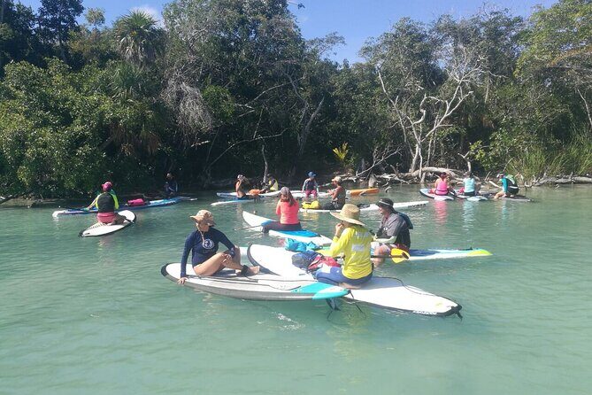 Learn Paddle Board and Explore the Mangroves of Progreso - Who Will Love This Tour?
