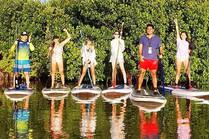 Learn Paddle Board and Explore the Mangroves of Progreso - Final Thoughts