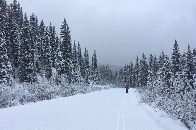 Learn to Cross Country Ski in Lake Louise - Cost and Value