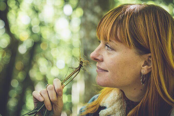 Learn to forage in Llangollen - An In-Depth Look at the Foraging Experience in Llangollen