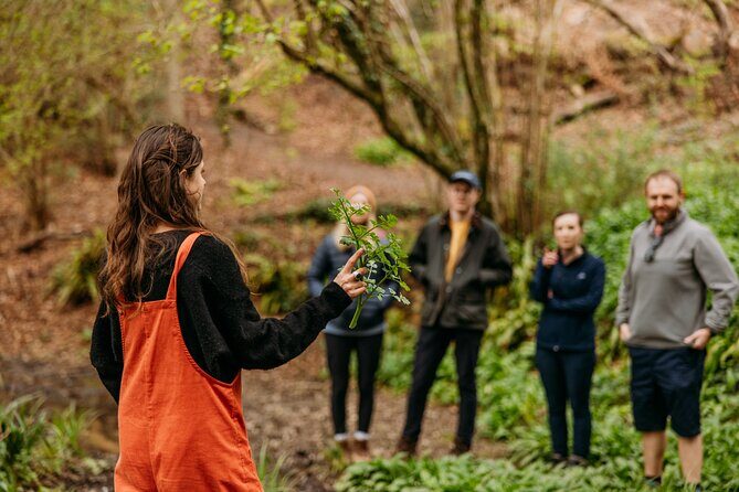 Learn to forage in Llangollen - Who Will Enjoy This Tour?