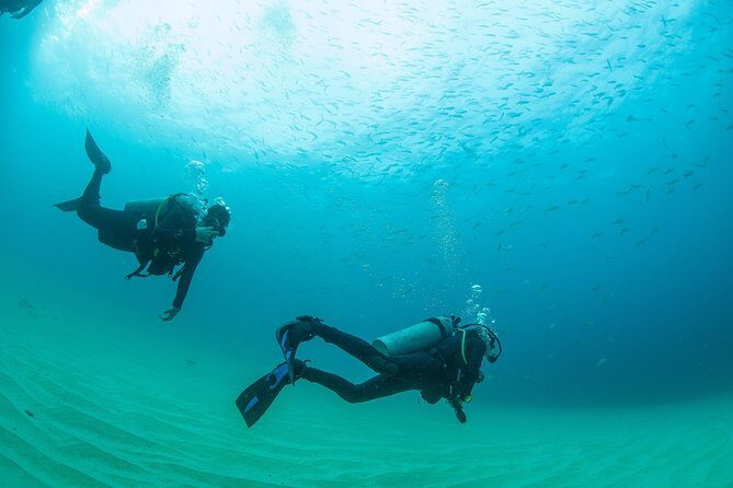 Learn to Scuba Dive in Cabo San Lucas with PADI - Who Would Enjoy This Tour?