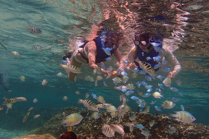 Learn to Stand Up Paddleboard! Includes 5 Star Snorkeling Tour! - FAQs