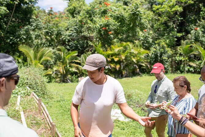 Learning about Medicinal Plants of Puerto Rico - FAQs