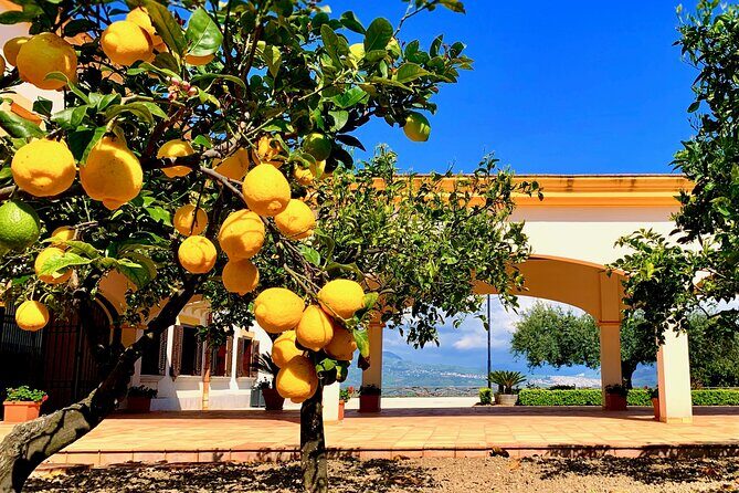 Leave the City Behind Tour with Guide Driver starts from Palermo - Leave the City Behind Tour with Guide Driver starts from Palermo
