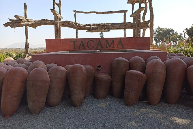 Leaving from Lima Full day Paracas, Ica and Huacachina - What Makes This Tour Stand Out?