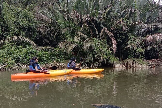 Lebam River Kayaking Adventure - In-Depth Review