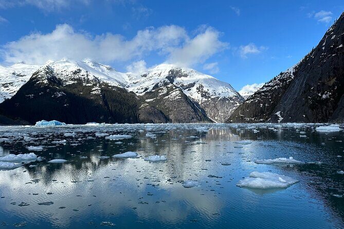 LeConte Glacier Tour and Norwegian Town Exploration - Key Points