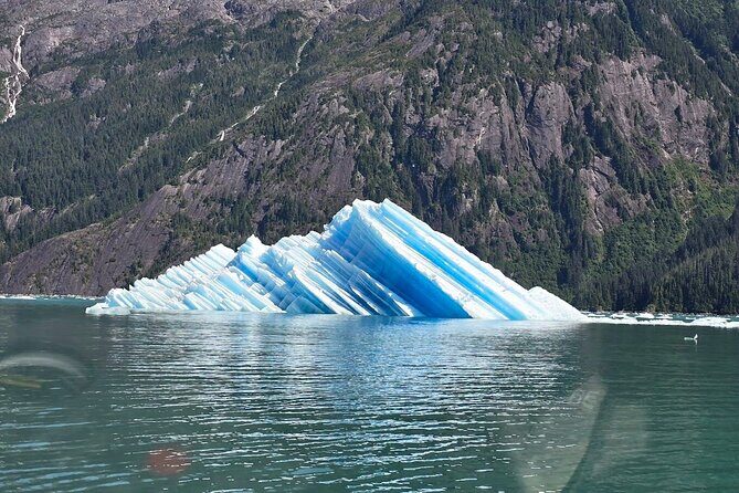 LeConte Glacier Tour and Norwegian Town Exploration - Final Thoughts