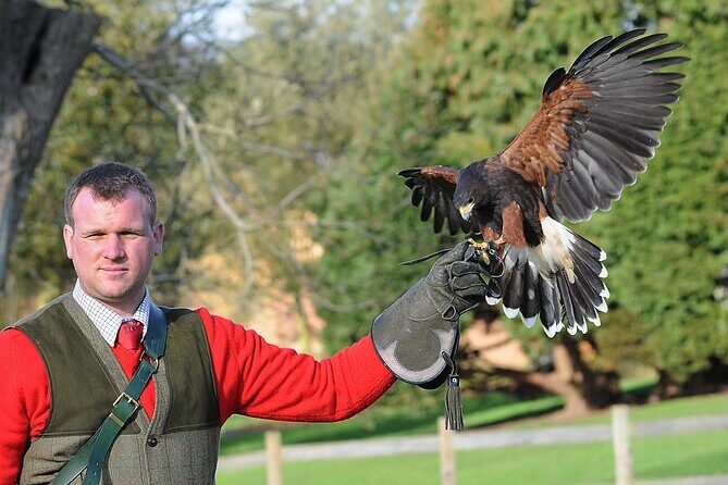 Leeds Castle Admission - Ultimate Explorer Tickets - Key Points