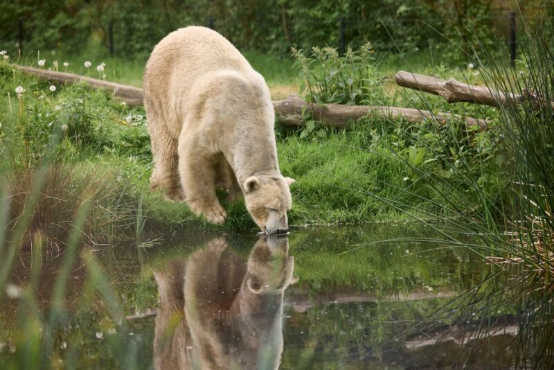Leewarden: AquaZoo Entry Ticket - A Deep Dive into AquaZoo Leeuwarden