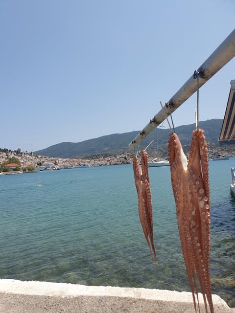 Lefkada Island Day Trip: Explore Beaches and Scenic Wonders - FAQ
