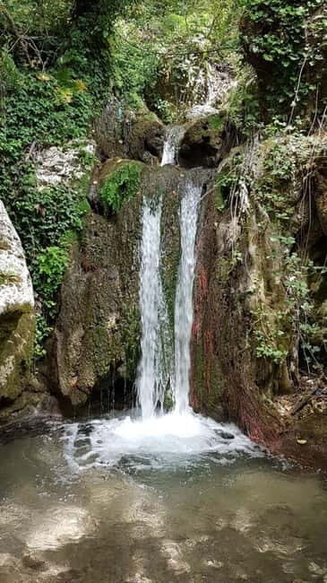 Lefkada: Path of Springs Hike with Olive Oil Tasting - Key Points