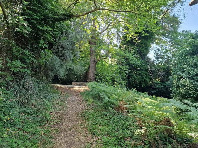 Lefkada: Path of Springs Hike with Olive Oil Tasting - Frequently Asked Questions