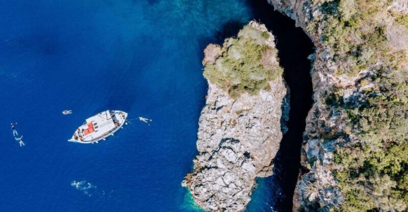 Lefkada: Private Marine Wildlife tour - The Sum Up