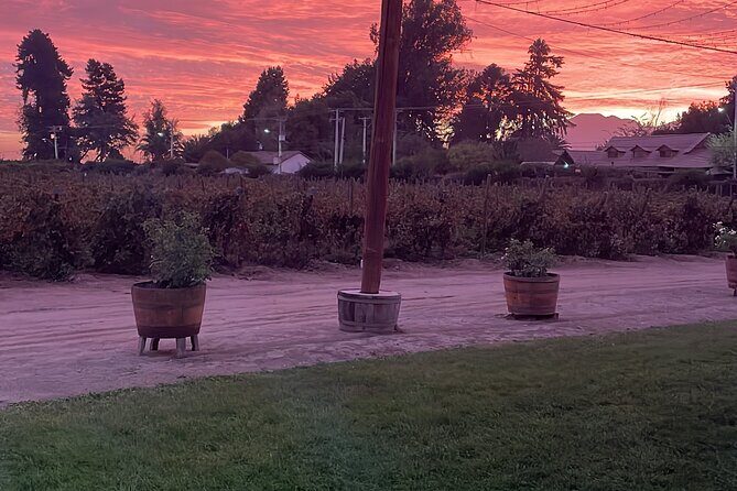 Legacy Family Tour Lunch or Dinner Pairing 4 Strokes - A Genuine Taste of Chile’s Wine Heritage: The Legacy Family Tour with Lunch or Dinner Pairing