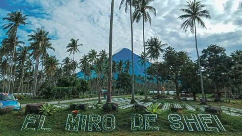 Legazpi City Half Day Join-In-Tours by ZCHEDULISTA - Practical Details: Transport, Timing, and Group Size