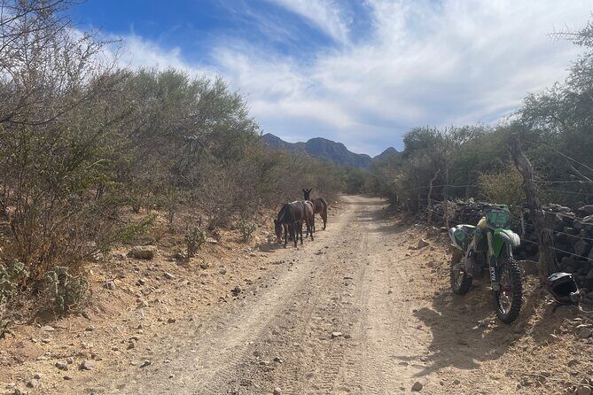 Legendary Baja 1000 Race Route Expedition in Ensenada to La Paz - What’s Included & What You Should Know