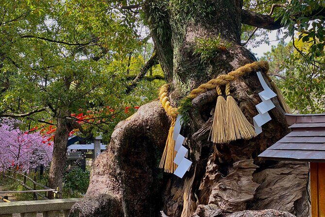 Legends of Sumiyoshi Taisha Shrine with Japanese Drink in Osaka - Authenticity and Cultural Connection