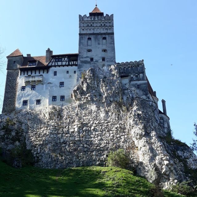 Legends&Wildlife Awaits: Dracula's Castle & Bear Sanctuary - Key Points