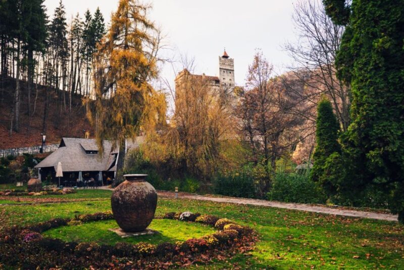 Legends&Wildlife Awaits: Dracula's Castle & Bear Sanctuary - FAQ