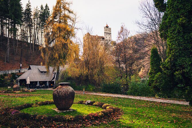 Legends&Wildlife Awaits: Dracula's Castle & Bear Sanctuary - Legends & Wildlife Await: Dracula’s Castle & Bear Sanctuary