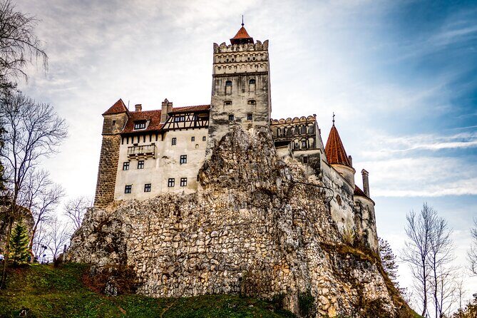 Legends&Wildlife Awaits: Dracula's Castle & Bear Sanctuary - A Deep Dive into the Experience