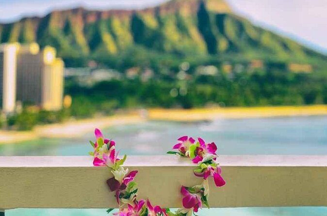 Lei Greeting Private Transfer Arrival HNL Airport to Waikiki - Who Should Book This Transfer?