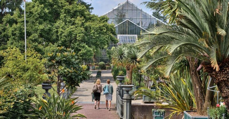 Leiden: Hortus Botanicus Entry Ticket - How the Experience Offers Good Value