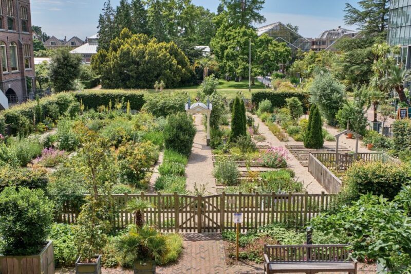 Leiden: Hortus Botanicus Entry Ticket - FAQs