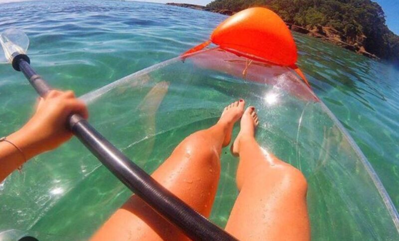 Leigh: Goat Island Clear Kayak Rental - Leigh: Goat Island Clear Kayak Rental – A Close-Up of New Zealand’s Marine Life