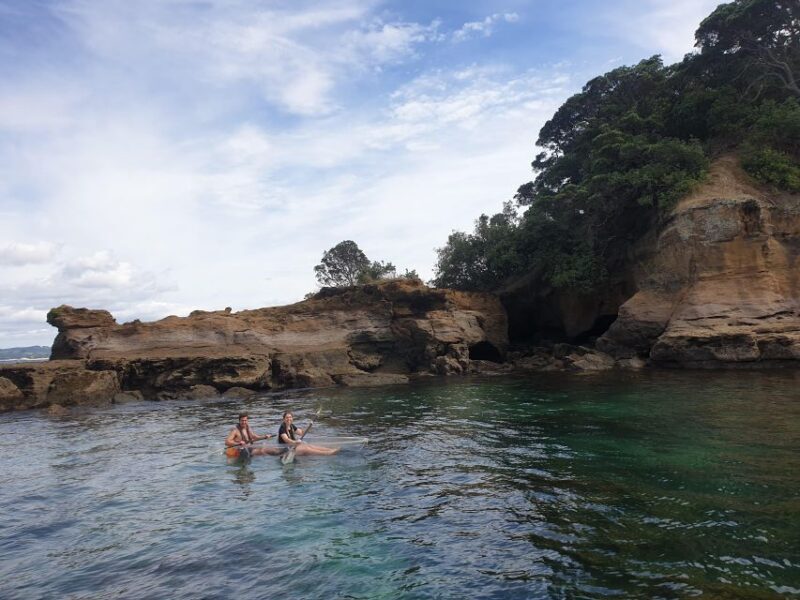 Leigh: Goat Island Clear Kayak Rental - Who Should Consider This Tour?