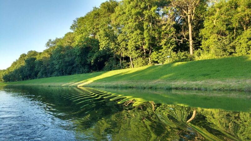 Leipzig: 2-hour Auwald Motorboat Tour - Key Points