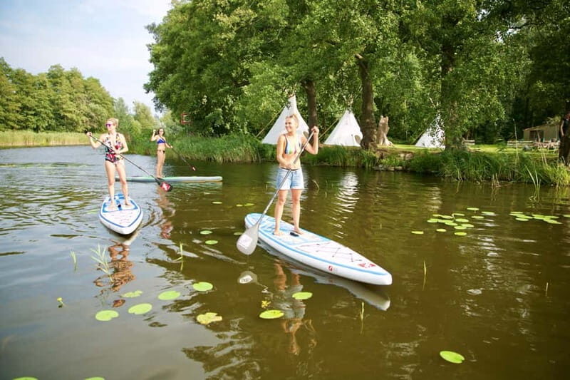 Leipzig: Cospudener Lake Stand-Up Paddleboard Course - An In-Depth Look at the Cospudener Lake SUP Experience