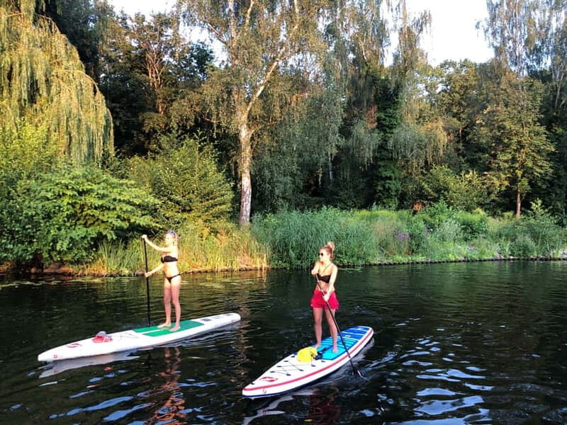 Leipzig: Cospudener Lake Stand-Up Paddleboard Course - Final Thoughts: A Great Mix of Nature and Sport