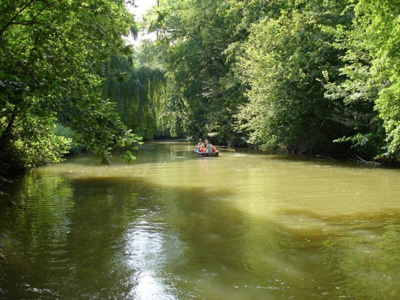 Leipzig: Riverside Forest Tour on the Pleiße - An in-depth look at the Leipzig Riverside Forest Tour