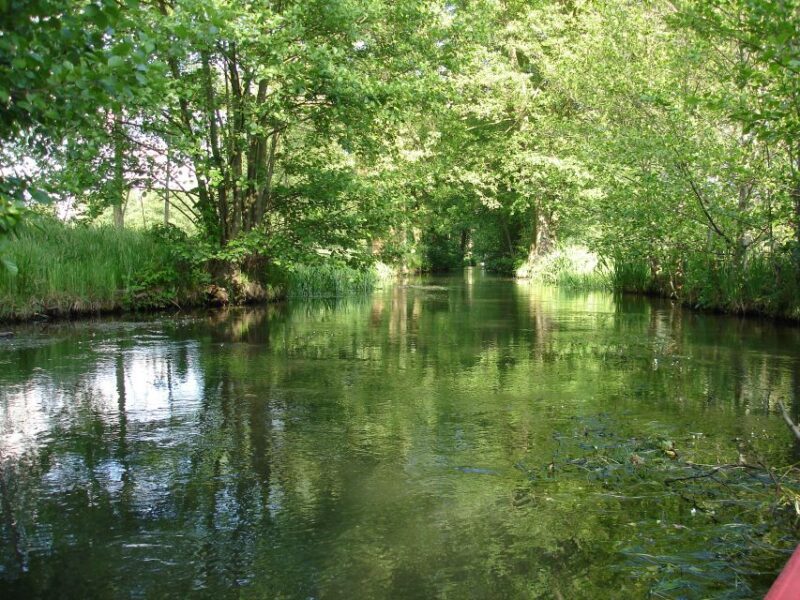 Leipzig: Riverside Forest Tour on the Pleiße - Who should consider this tour?