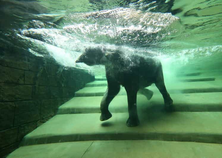 Leipzig Zoo: Entry Ticket - Authentic Experiences Based on Reviews
