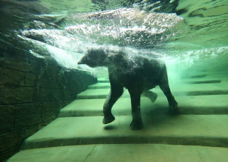 Leipzig Zoo: Entry Ticket - The Sum Up: Who Will Love Leipzig Zoo?