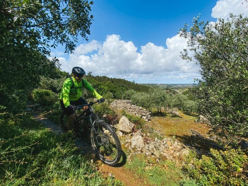 Leiria E-bike and Castel tour - Detailed Itinerary Breakdown