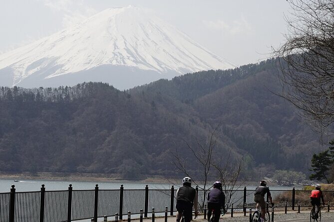 Leisure Cycling Tour Around Mt. Fuji's Five Lakes - Key Points