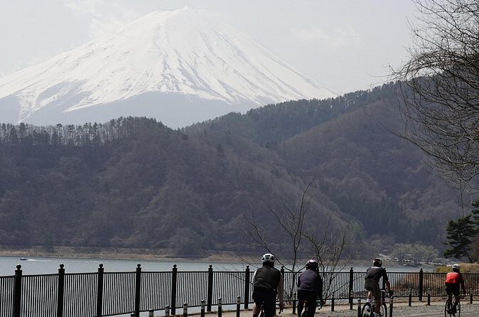 Leisure Cycling Tour Around Mt. Fuji's Five Lakes - Who Should Consider This Tour?