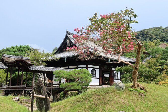 Leisurely Kyoto Half Day Walking Tour - A Deep Dive into the Kyoto Half-Day Walking Tour