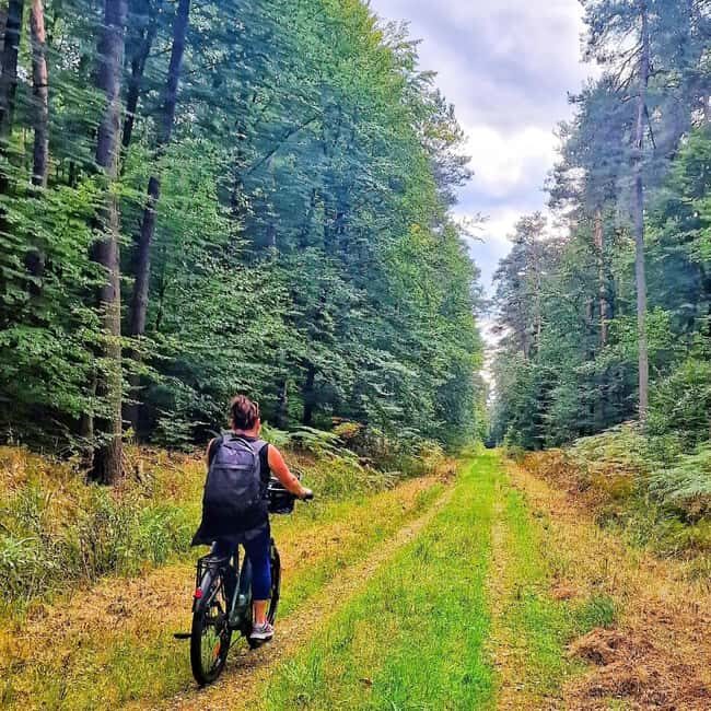 Lembach: Electric bike rental by the day - Practical Tips for a Great Ride