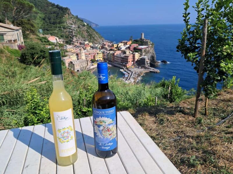 Lemon tour with limoncino and wine tasting in Vernazza (Cinque Terre) - Authenticity and What Travelers Say