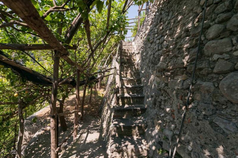 Lemons & Breathtaking Views: Amalfi Monumental Garden Tour - Key Points